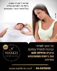 נרקיס