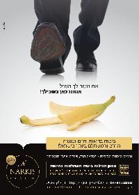 נרקיס